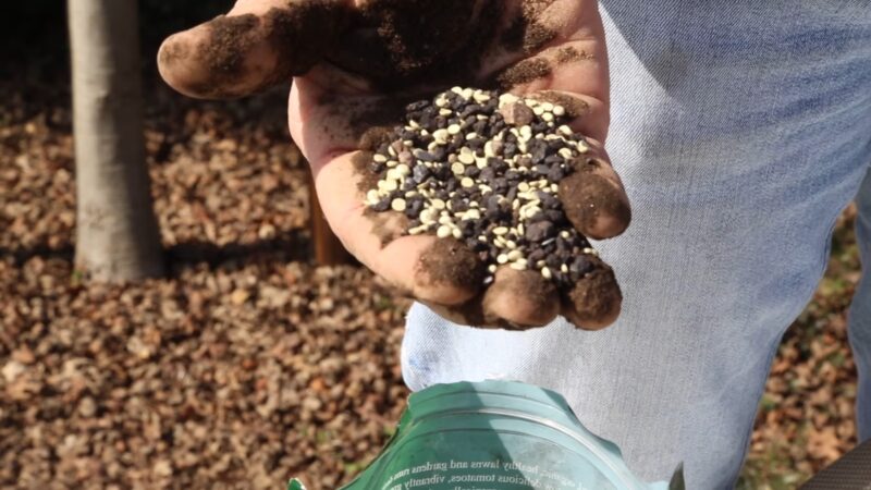 Soil in hand