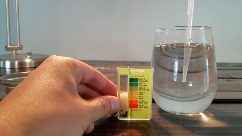 Test and Measure Your Soil pH at Home
