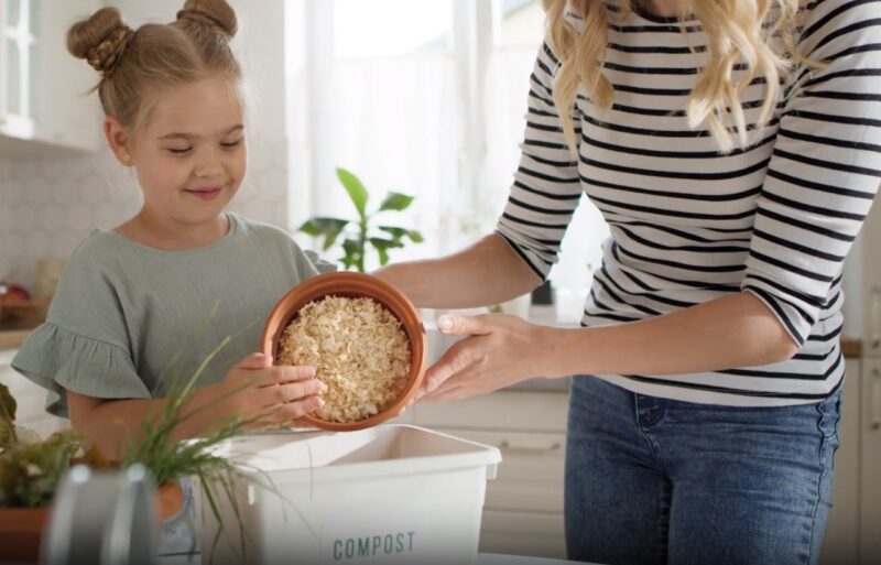 feeding plants