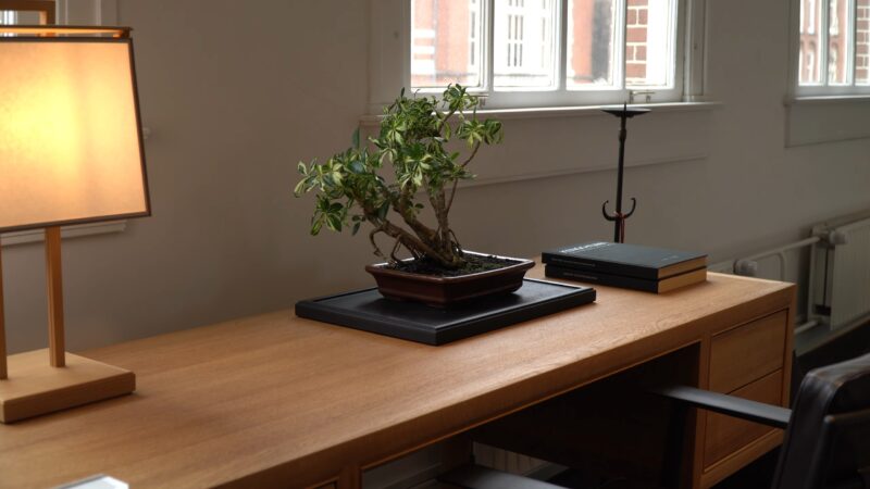 Bonsai Tree on the desk table